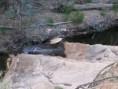 /album/flinders-ranges/a07-wilpena-resort-jpg/